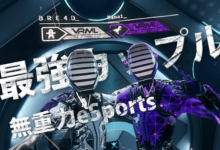 echovr Japan partner