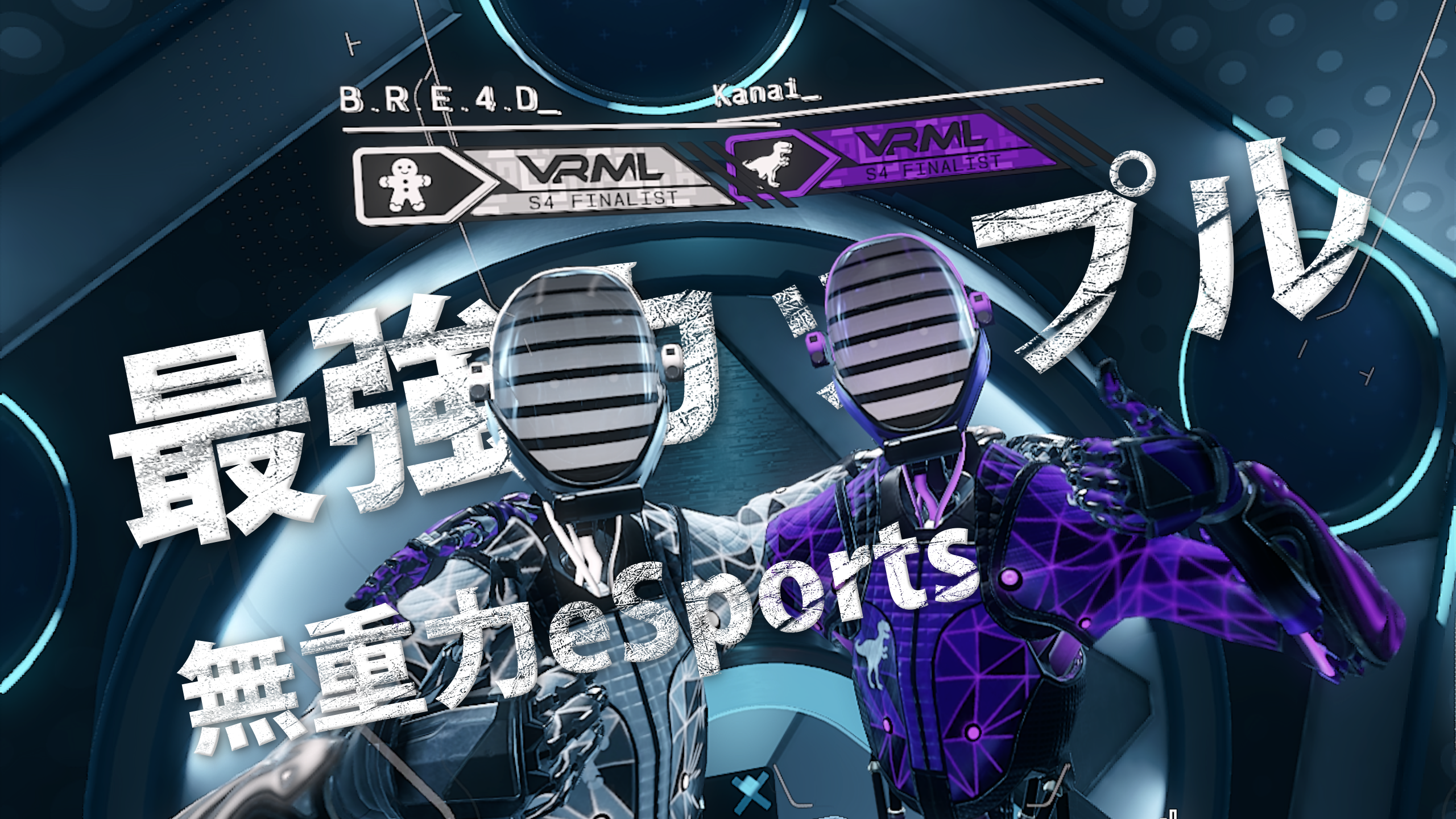 echovr Japan partner